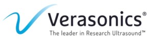Veras logo with tagline "Make it happen" in gray text